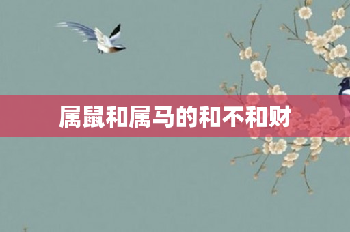 属鼠和属马的和不和财