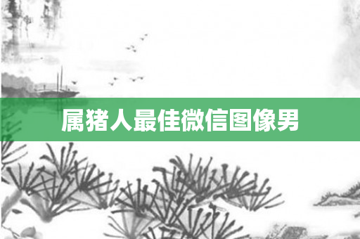 属猪人更佳微信图像男