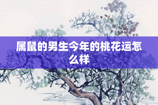属鼠的男生今年的桃花运怎么样