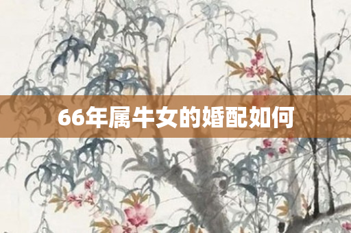 66年属牛女的婚配如何