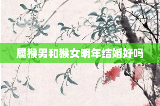 属猴男和猴女明年结婚好吗
