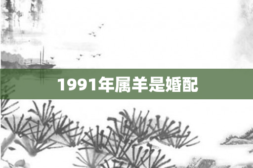 1991年属羊是婚配