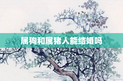 属狗和属猪人能结婚吗