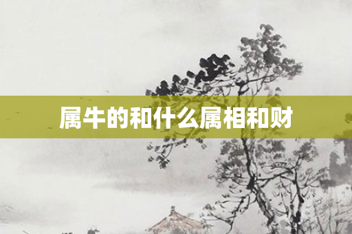 属牛的和什么属相和财