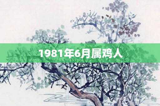 1981年6月属鸡人