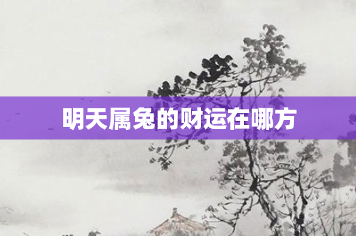 明天属兔的财运在哪方