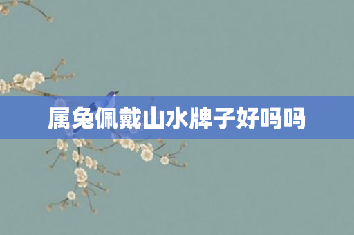 属兔佩戴山水牌子好吗吗