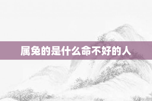 属兔的是什么命不好的人