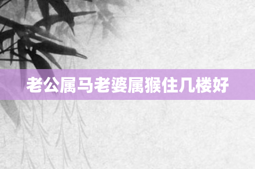老公属马老婆属猴住几楼好