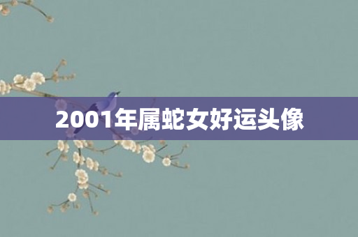 2001年属蛇女好运头像