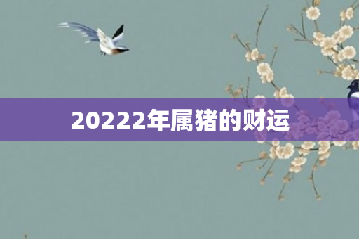 20222年属猪的财运