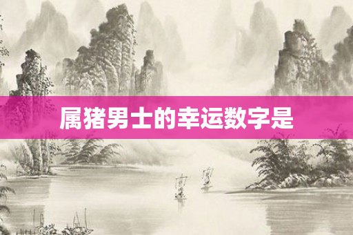 属猪男士的幸运数字是