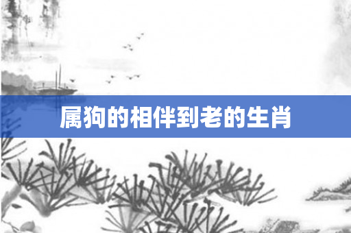 属狗的相伴到老的生肖