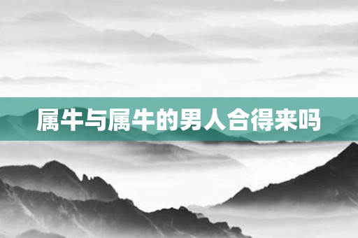 属牛与属牛的男人合得来吗