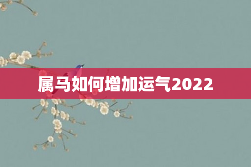 属马如何增加运气2022