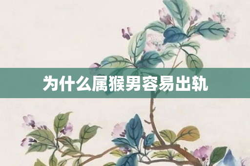 为什么属猴男容易出轨