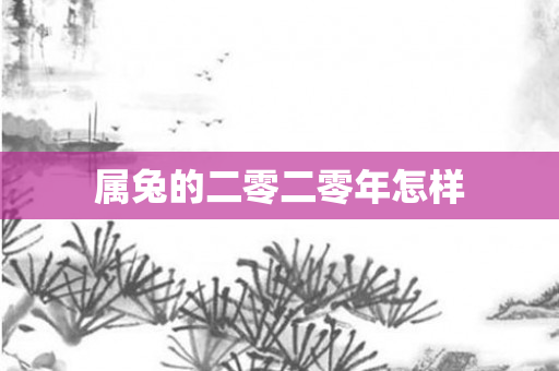 属兔的二零二零年怎样
