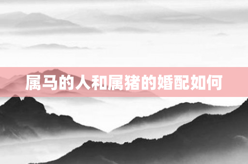 属马的人和属猪的婚配如何