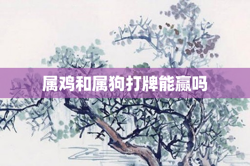 属鸡和属狗打牌能赢吗