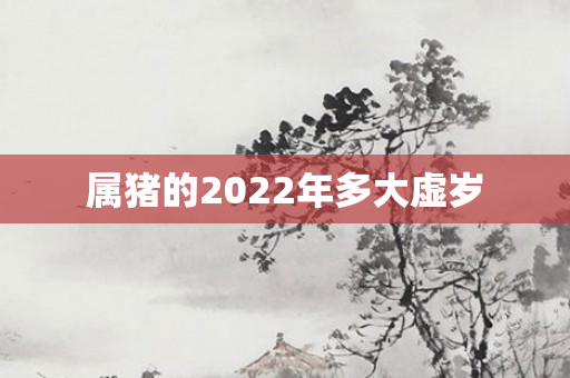 属猪的2022年多大虚岁