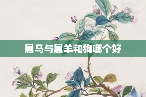 属马与属羊和狗哪个好