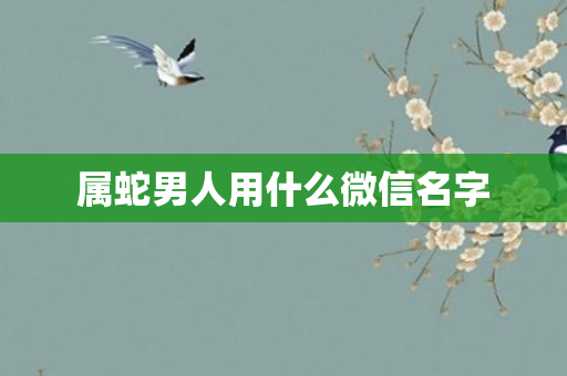 属蛇男人用什么微信名字