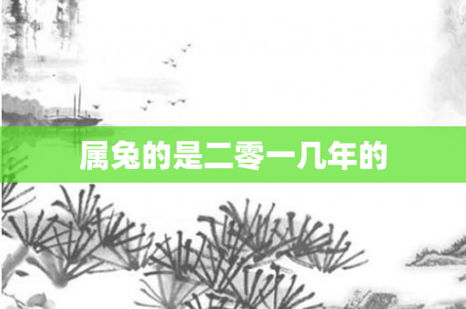 属兔的是二零一几年的