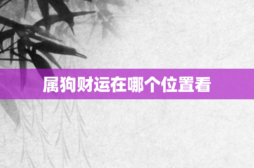 属狗财运在哪个位置看