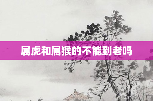 属虎和属猴的不能到老吗