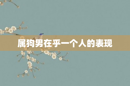 属狗男在乎一个人的表现