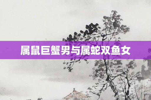 属鼠巨蟹男与属蛇双鱼女