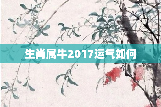 生肖属牛2017运气如何