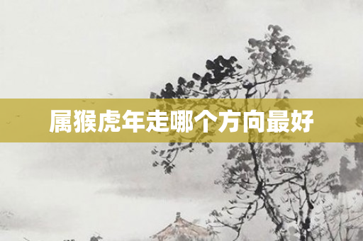 属猴虎年走哪个方向更好