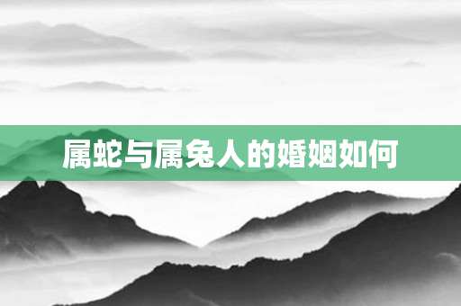 属蛇与属兔人的婚姻如何