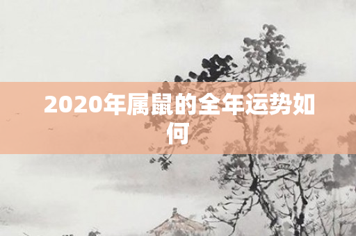 2020年属鼠的全年运势如何