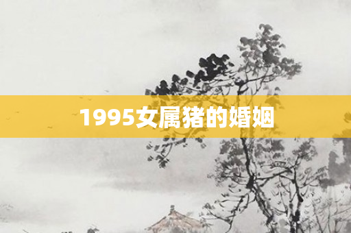 1995女属猪的婚姻