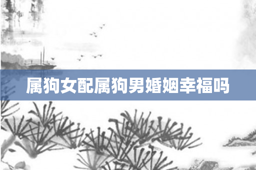 属狗女配属狗男婚姻幸福吗