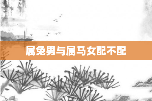属兔男与属马女配不配