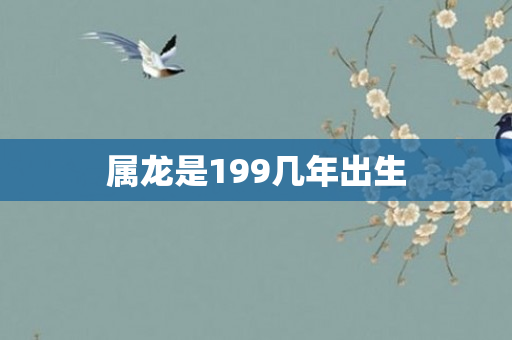 属龙是199几年出生