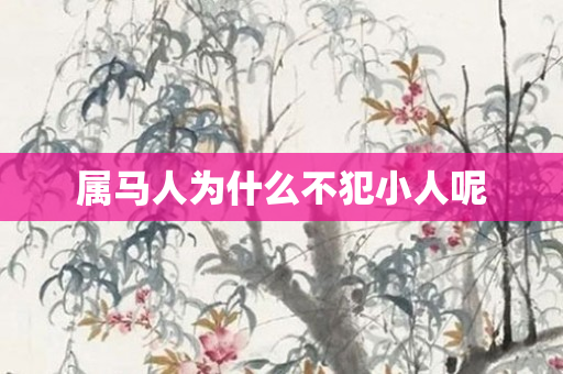 属马人为什么不犯小人呢