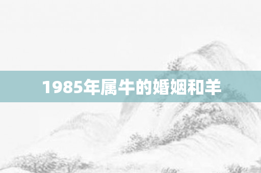 1985年属牛的婚姻和羊