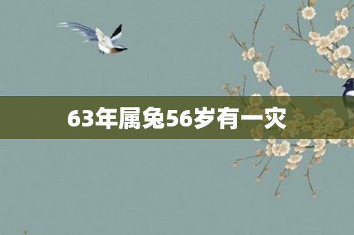 63年属兔56岁有一灾