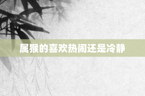 属猴的喜欢热闹还是冷静