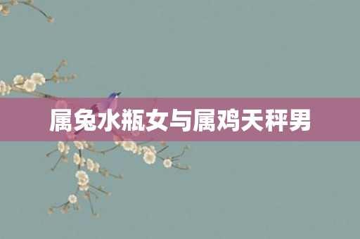 属兔水瓶女与属鸡天秤男