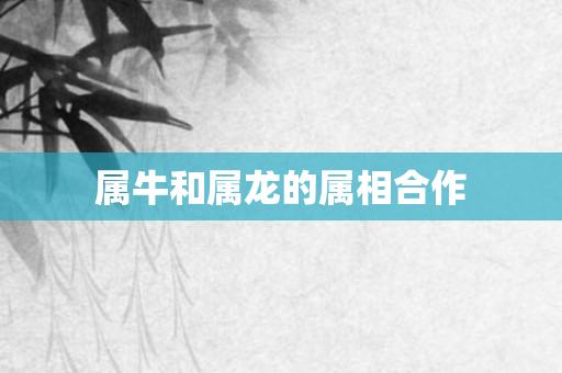 属牛和属龙的属相合作