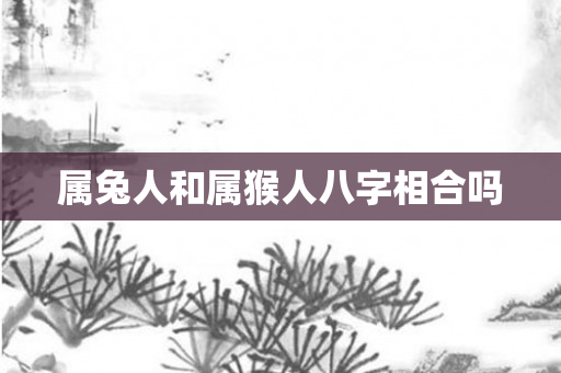 属兔人和属猴人八字相合吗