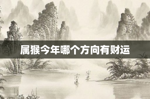 属猴今年哪个方向有财运