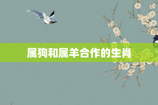 属狗和属羊合作的生肖