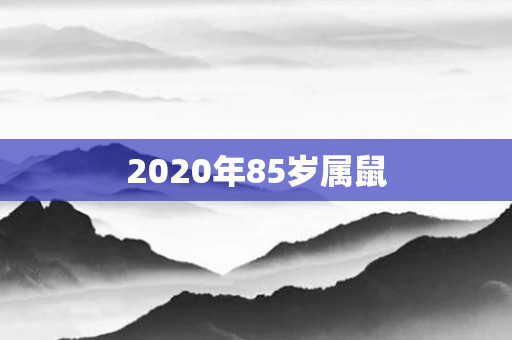 2020年85岁属鼠