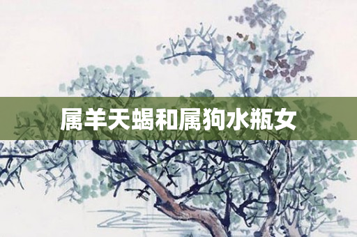 属羊天蝎和属狗水瓶女